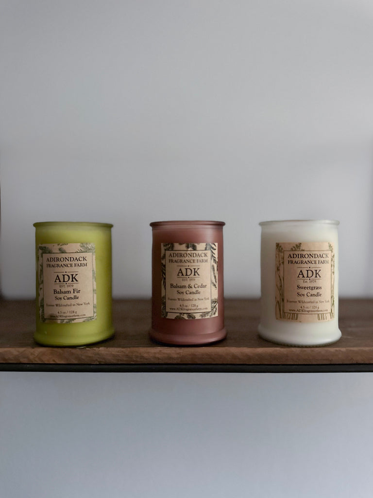 Wildcrafted Adirondack Fragrance Farm Candle, 4.5 oz